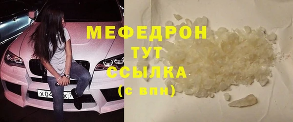 сатива Няндома