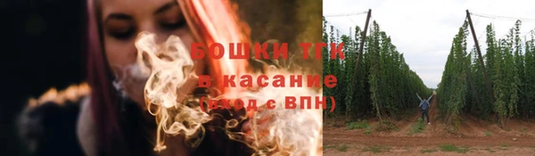 спиды Новозыбков