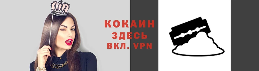 спиды Новозыбков
