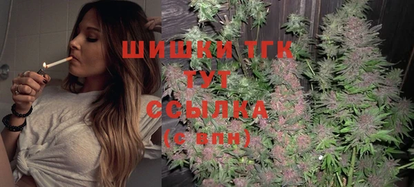спиды Новозыбков