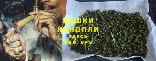 спиды Новозыбков