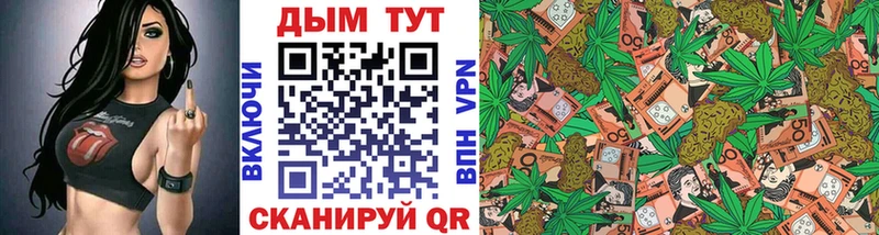 Конопля гибрид  где продают   Алагир 